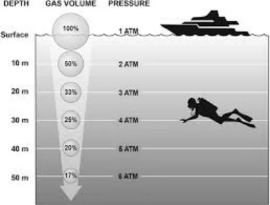 First aid kit essentials for water sport safety response