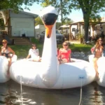Swan Float - Inflatable Islands
